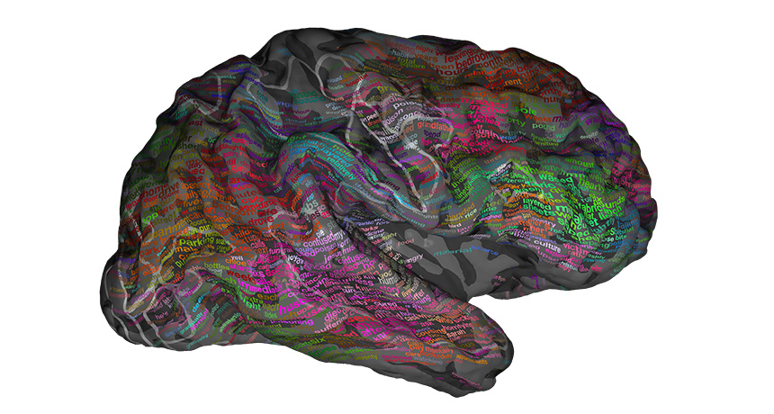 Words’ meanings mapped in the brain